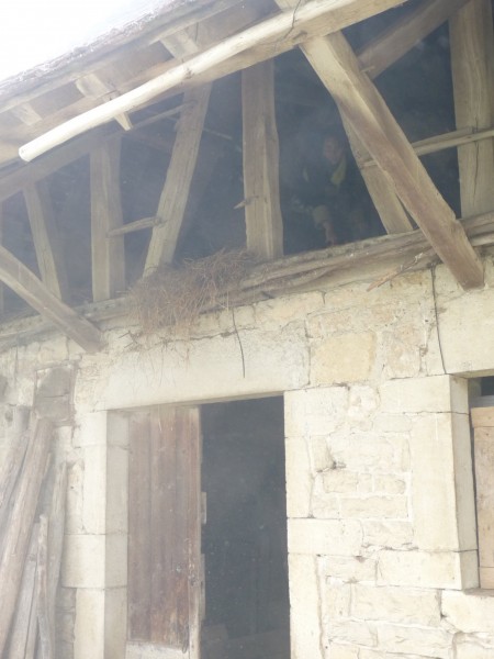 Bâtiment d'exploitation Bressan
