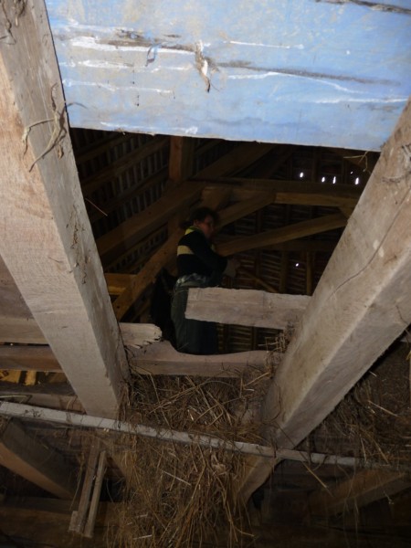 Réfection du plancher