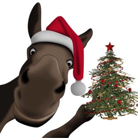 Résultat de recherche d'images pour "ane noel"