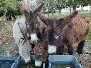 L'Âne à Nath place picture